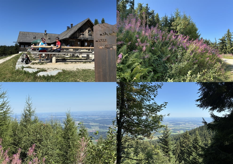 Einkehrschwung, am Wegesrand, Blick zum Waginger See, Blick nach Teisendorf