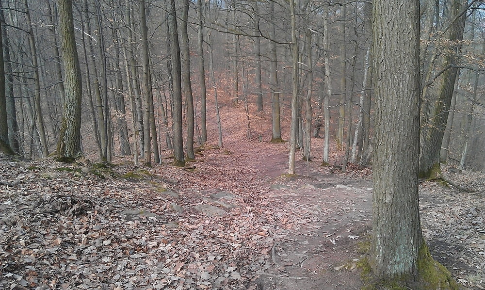 Sachsenheim-Eselsburg-Horrheimer Seen-Trimmdich Pfad Sersheim-Sachsenheim