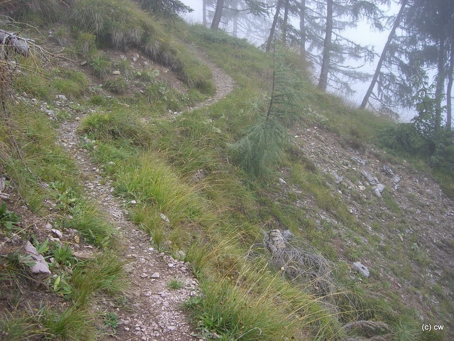 Birnbaum-Grifitz-Motalpe-Trail nach Liesing