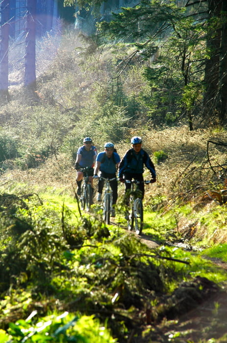 Biken in Willingen