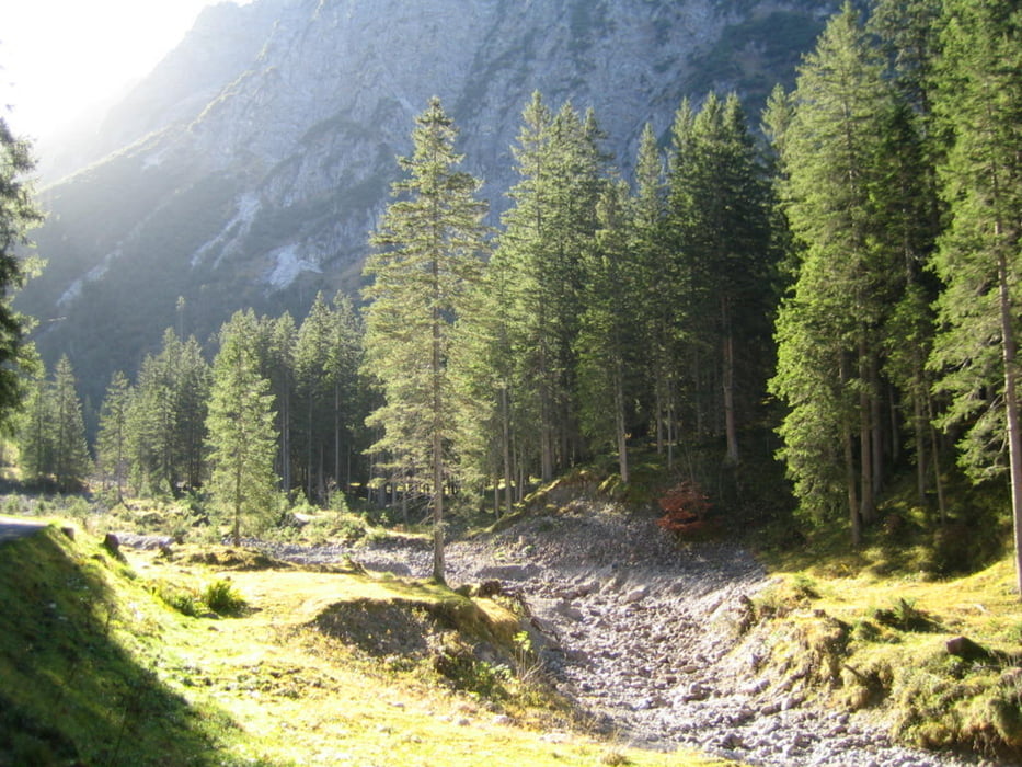 Rundweg Wildental Fluchtalpe Kuhgehrenalpe