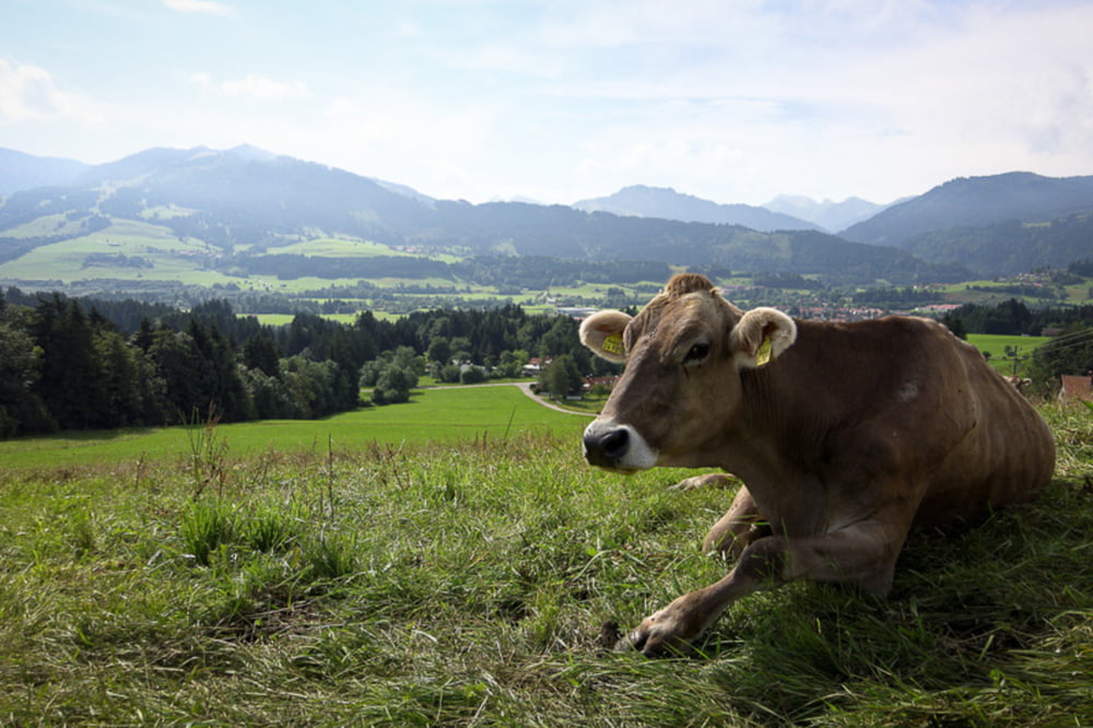 Von Seeg übers Königssträßle nach Oberjoch
