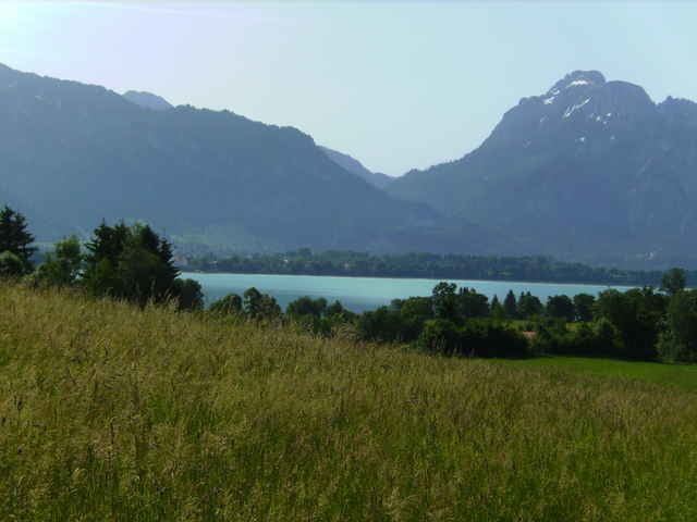 Forggensee-Runde