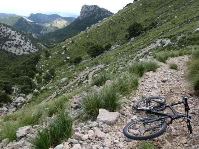 Massanella
