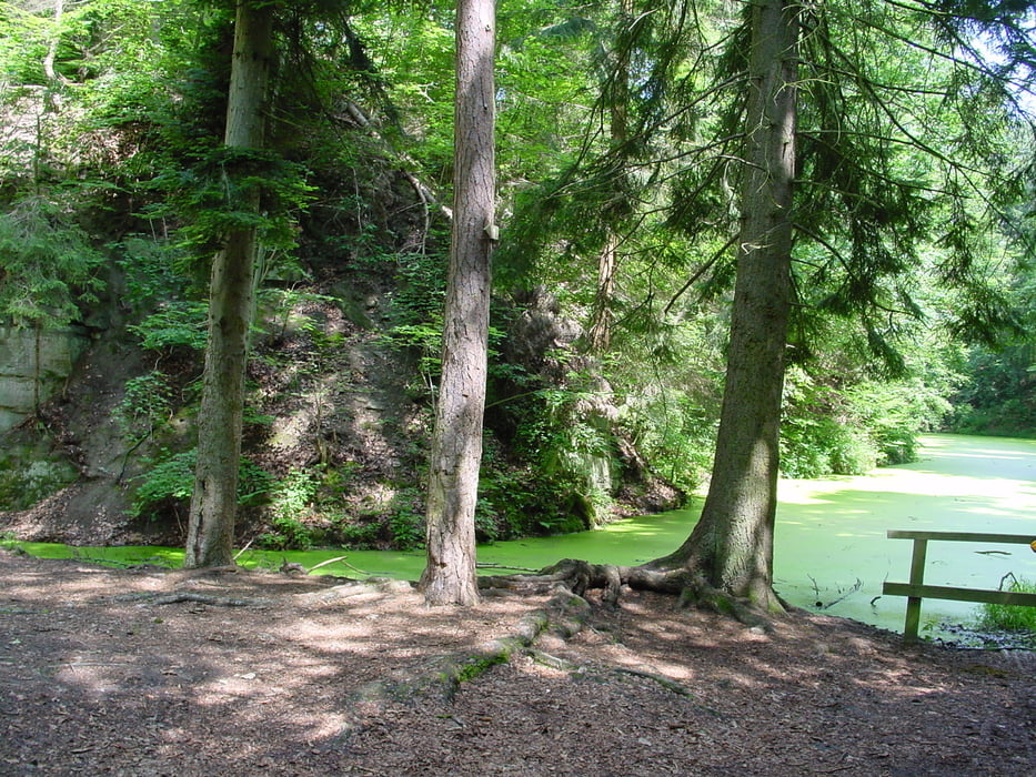 Rottenburg-Märchensee-Bebenhausen-Tübingen-Rottenburg