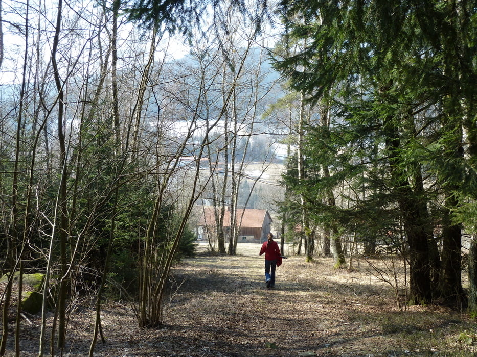 Kollnburg - Pröller - Kollnburg