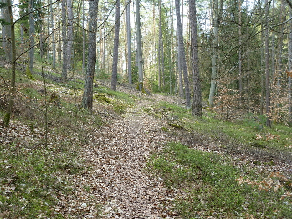 Spaßrunde
