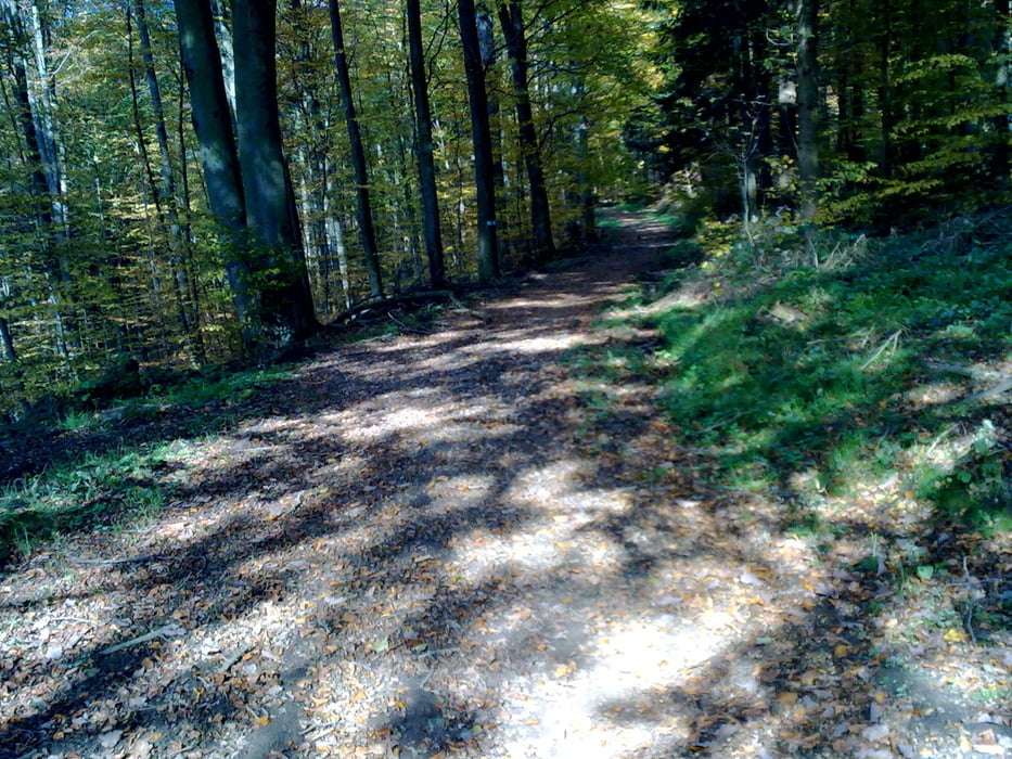 Reichenbach-Nasachtal incl. Trail