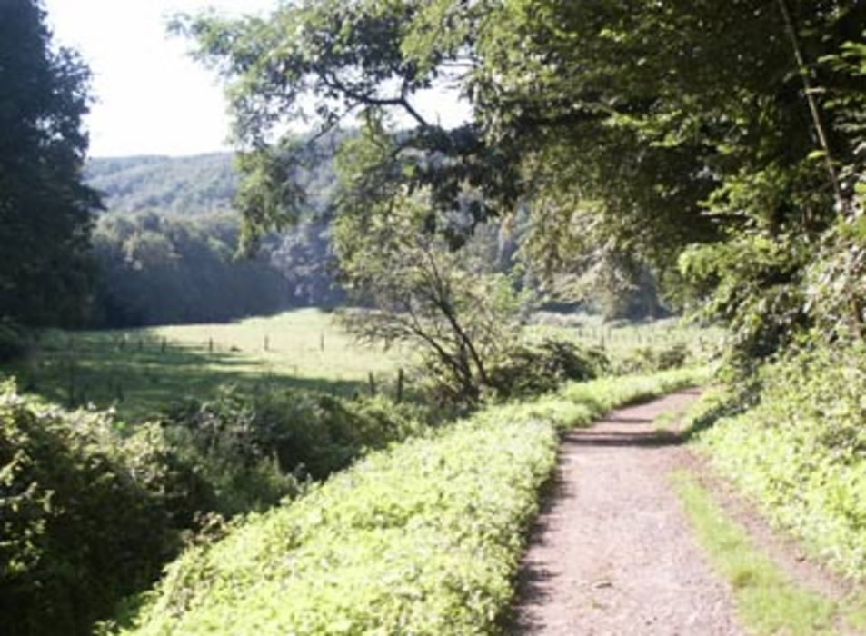 Mülheim Saarn über Auberg, Kettwig, Heiligenhaus, Auermühle, Duisburg (kurze Runde)