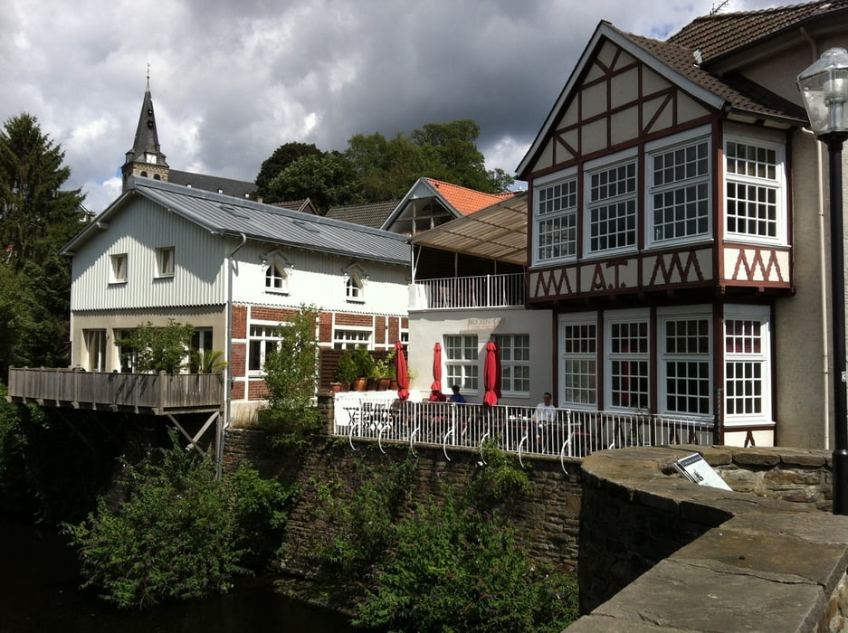 Ruhr-Duisburger Wald