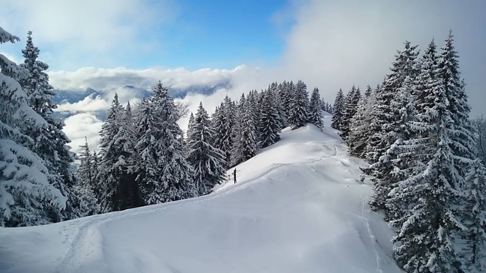 Baumgartenschneid - vom Tegernsee zum Schliersee