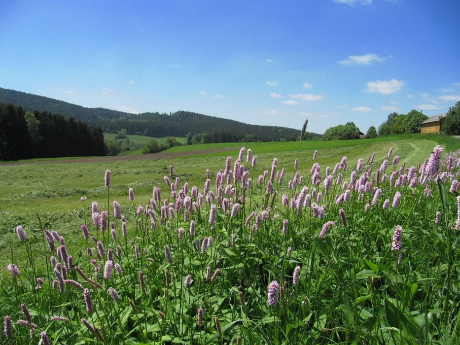 Fahrenberg – Zottbachtal – Miesbrunn – Runde