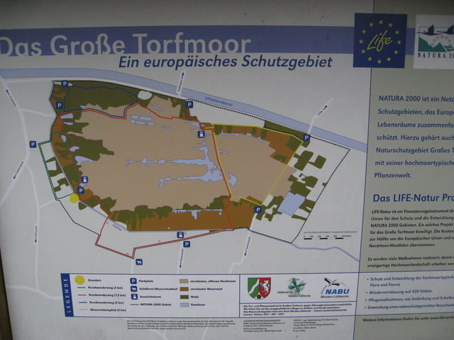 Wandertour durch das große Torfmoor