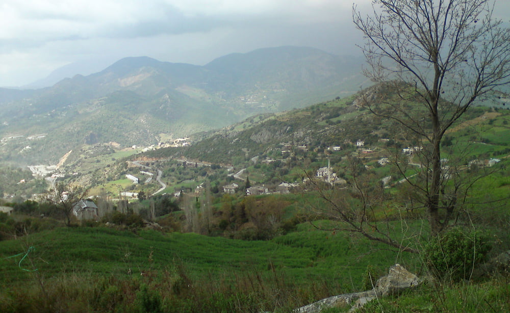 Beyreli