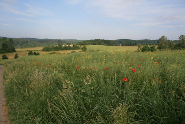 Linzgauer Jakobsweg 002 (Großschönach-Überlingen)