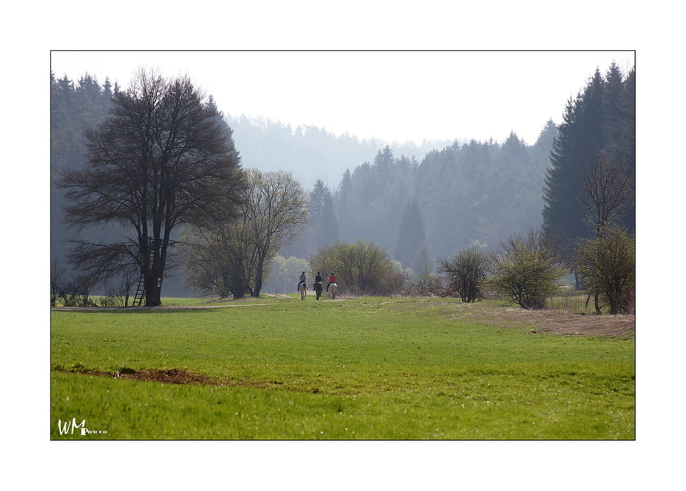 Neumarkt-Voggentahl-Steinberg