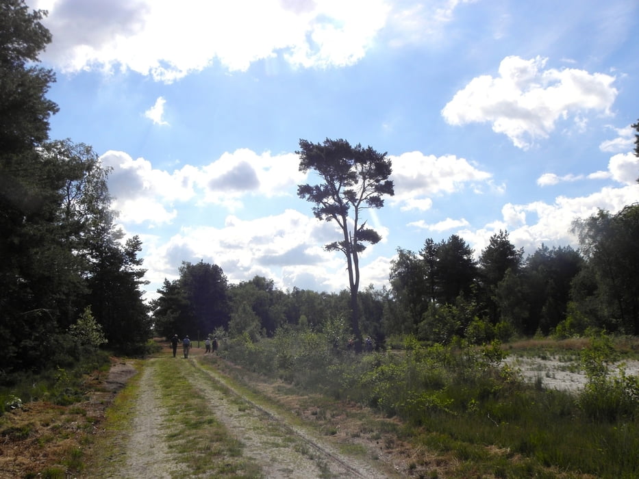 Rondwandeling De Maasduinen Wellerlooi
