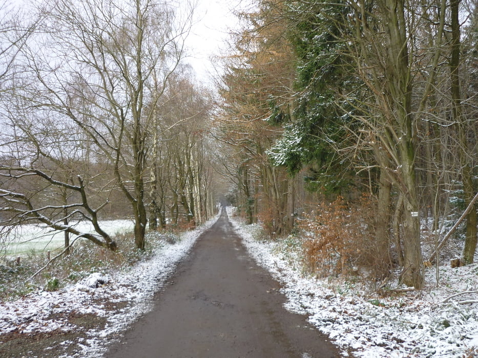 Rund um den Nachbarwald