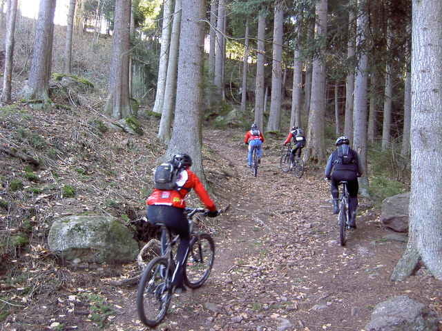 Nordschwarzwald Runde von Niefern, Bad Liebenzell, Schömberg