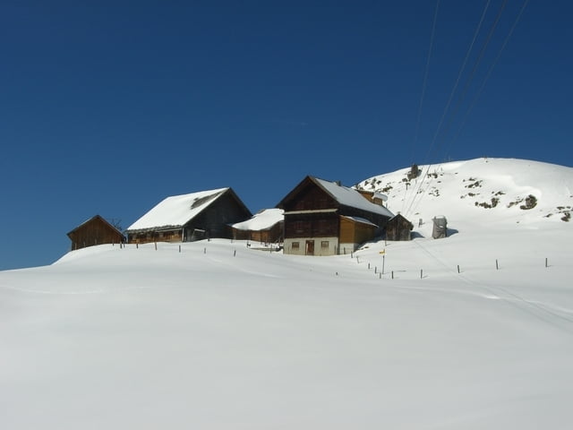 Musenalp