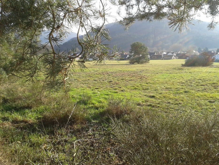 Kalorienpromenade in Fischbach bei Dahn