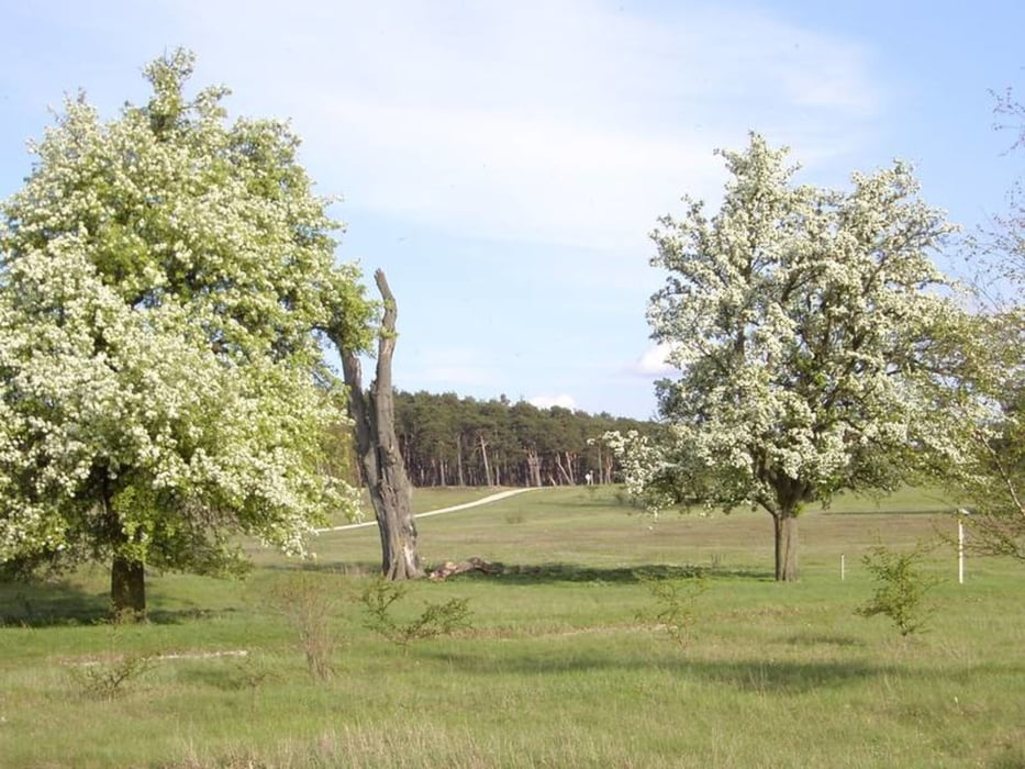Schleife Fürth über Nemsdorf / Golfpark Nürnberg