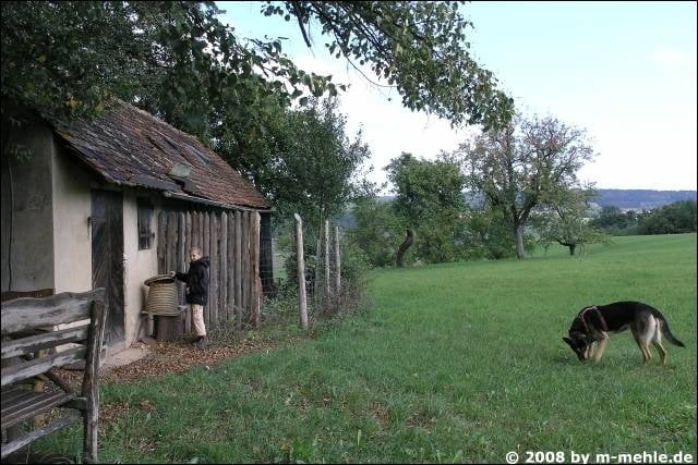 "Fingalshöhle" und "Spinnerin" (Steigerwald bei Obernzenn)