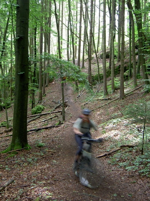 Slippery forest trails in Fränkische Schweiz