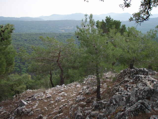 Kozak Mountains Walk 04
