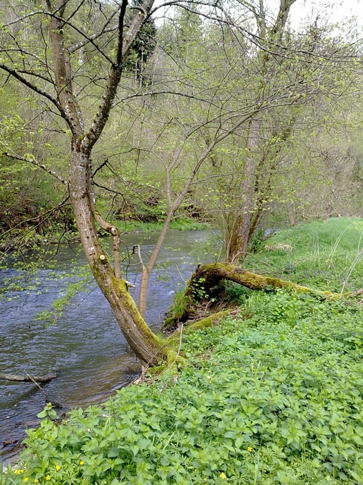 Baar-Eschachtal-Neckatal