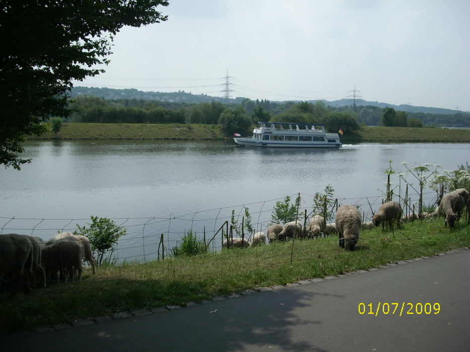 Von Marl zur Ruhr (Ruhrradweg Kemnader See bis Duisburg)