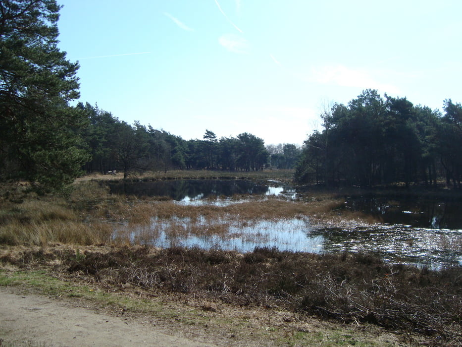 Bergerheide