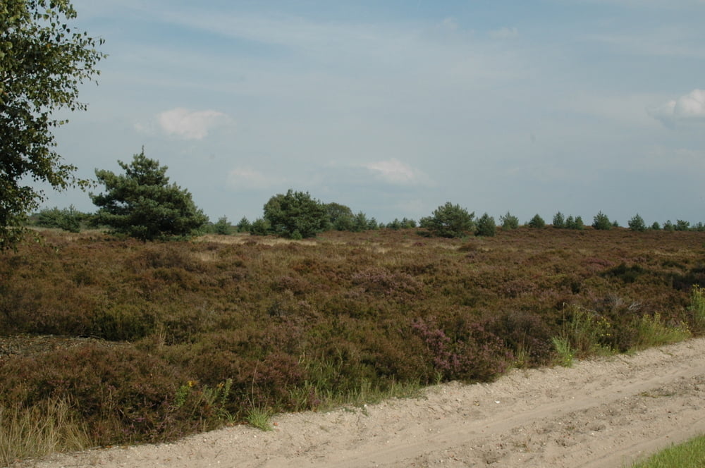 Salland-route