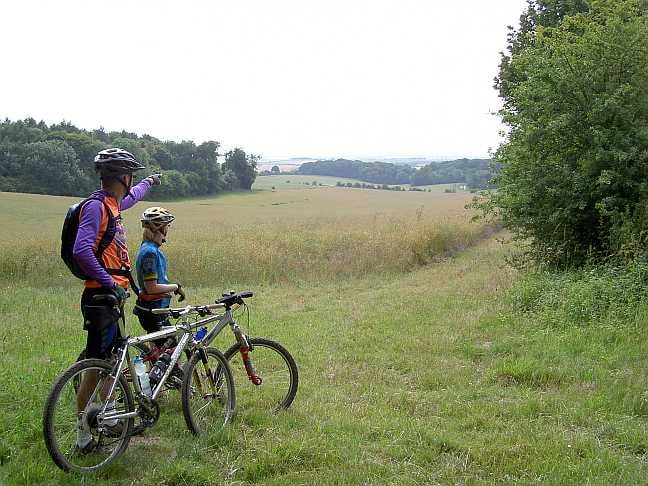 Chiltern Hills - Nettlebed