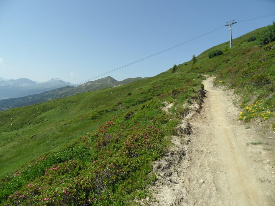 Lenzerheide Almrunde Scalottas Alp Stätz
