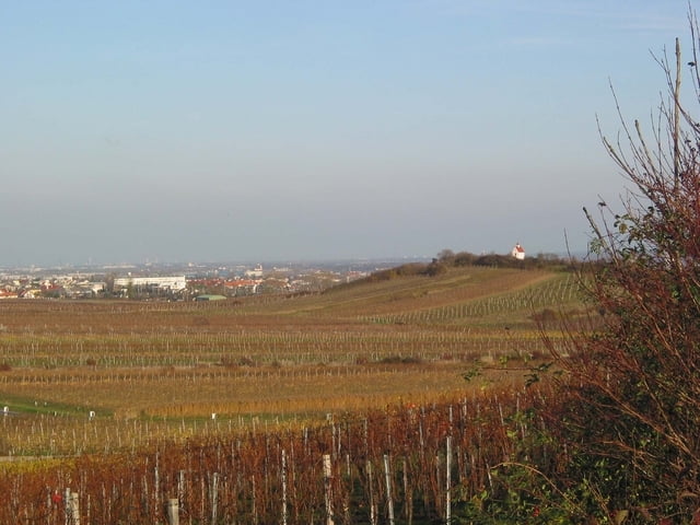 Durch die Weingärten von Mödling nach Bad Vöslau