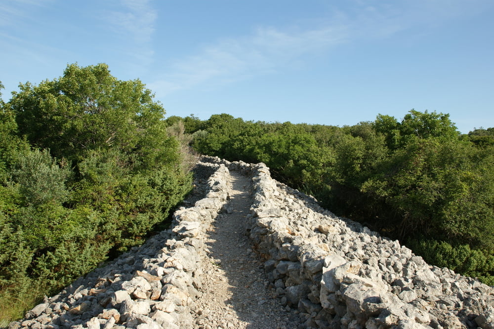 Krk-Kornic-Lakmartin-Krk ( Olive Trail )