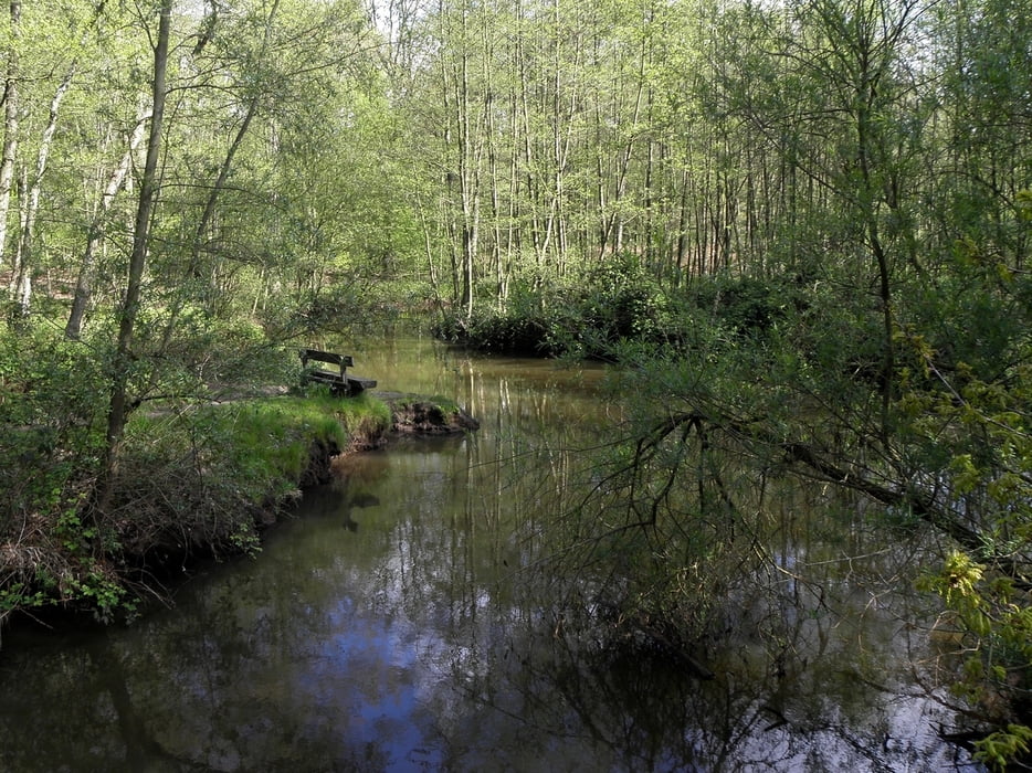 Rondwandeling Leudal Heythuysen - Haelen
