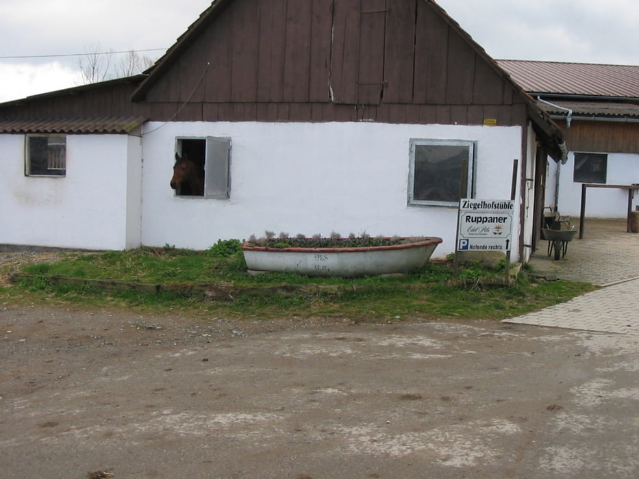 Linzgauer Jakobsweg Überlingen - Konstanz