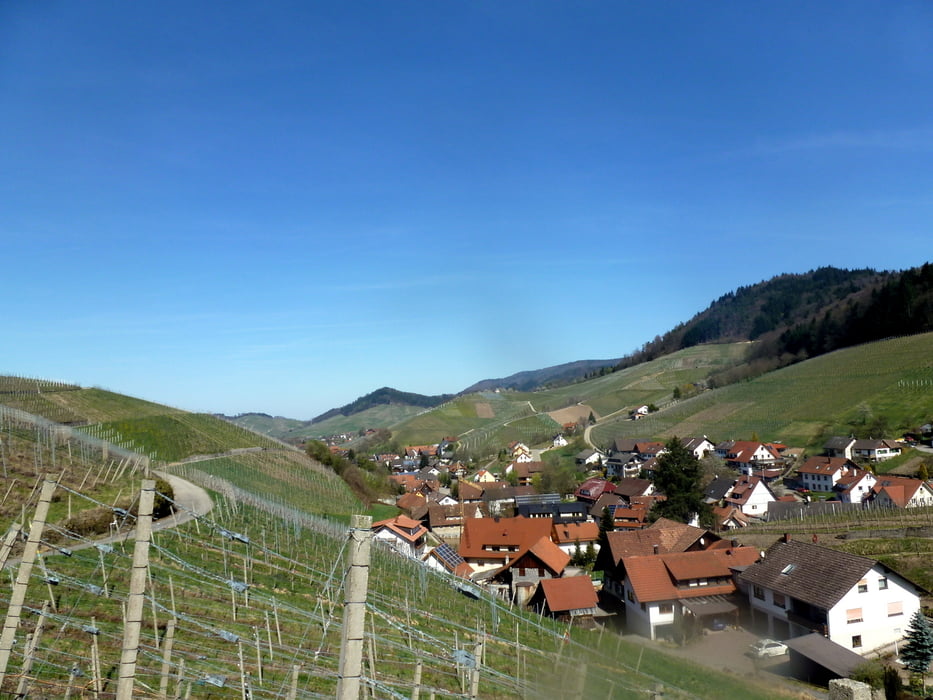Waldulm Schwender Buche und zurück