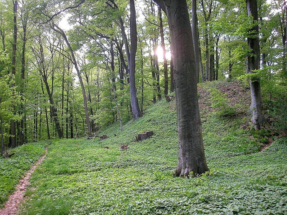 Von Hallstadt zum Stiefenberg (Stufenburg) und zurück