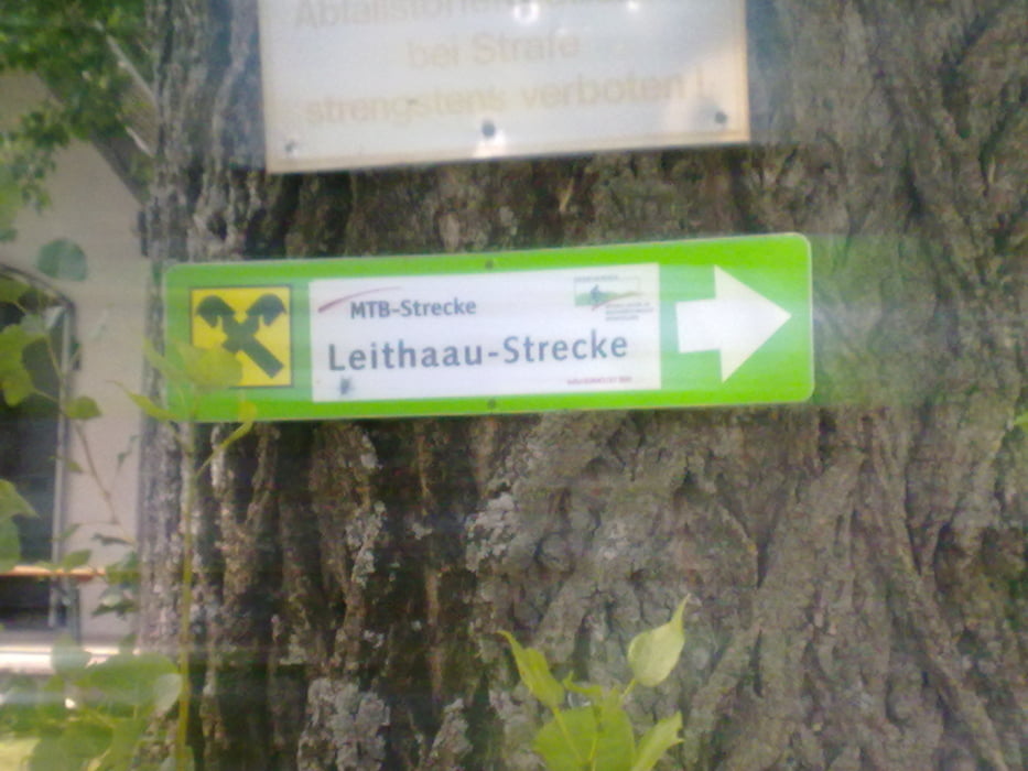 Leithaau-Strecke