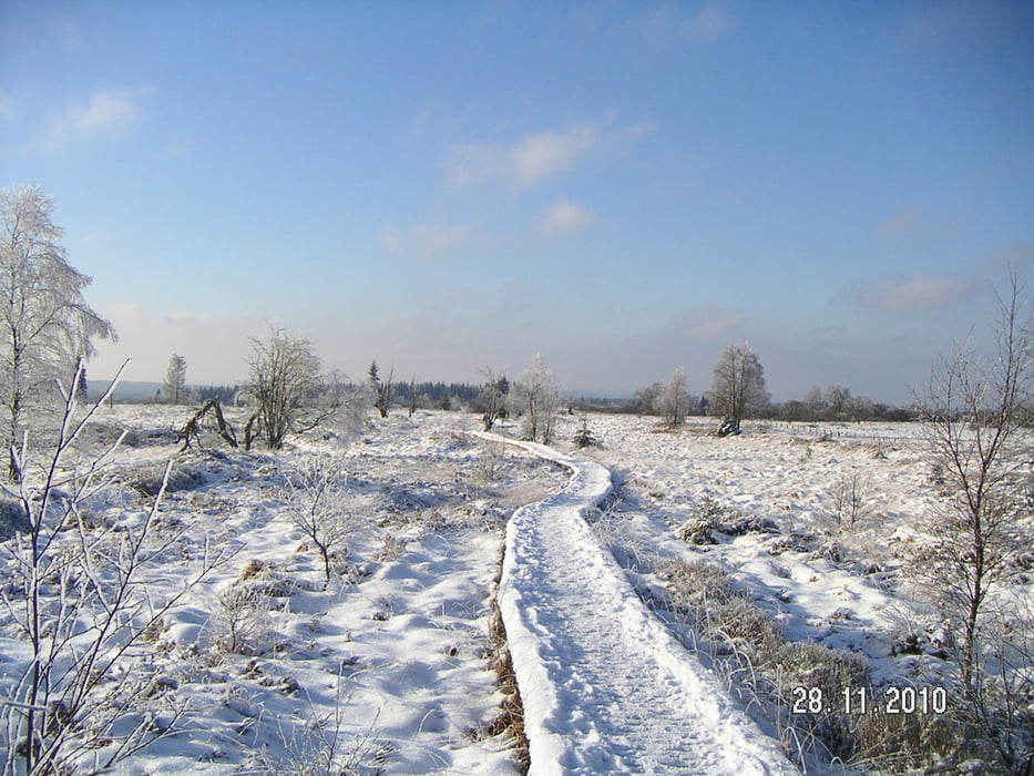 im Hohen Venn (Baraque Michel)