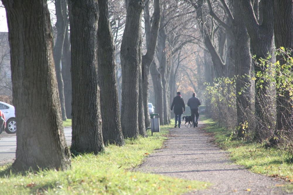 Rund um den Geisterholz