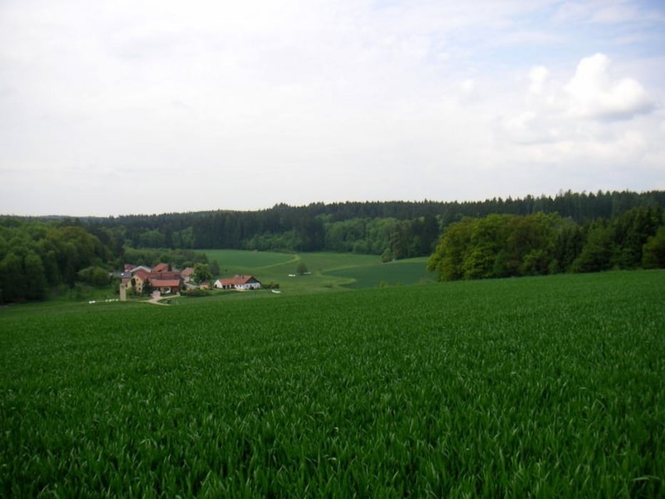 Thalmassing, Teugn, Obertraubling - so in etwa