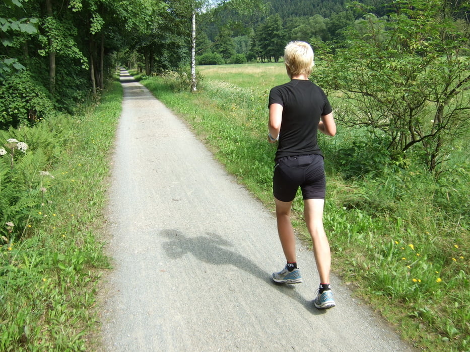 Preßnitztalradweg