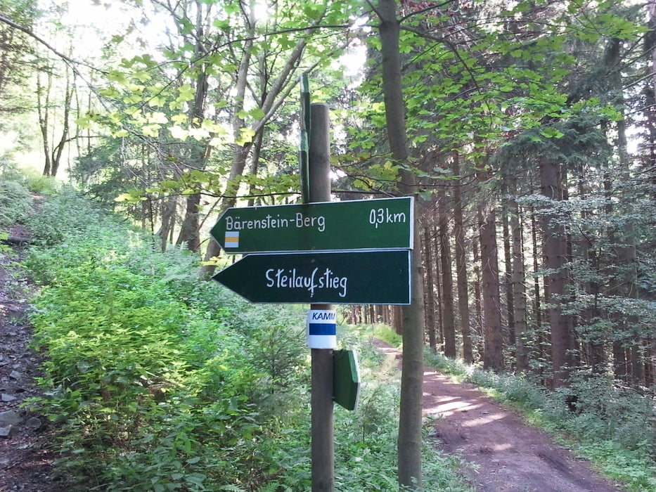 Bärenstein-Runde Jogging