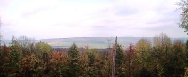 Hildesheimer Kämme - Knebelberg und Vorholz