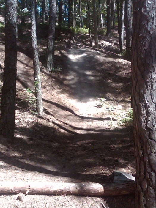 Rundtour mit Singeltrails und Downhill