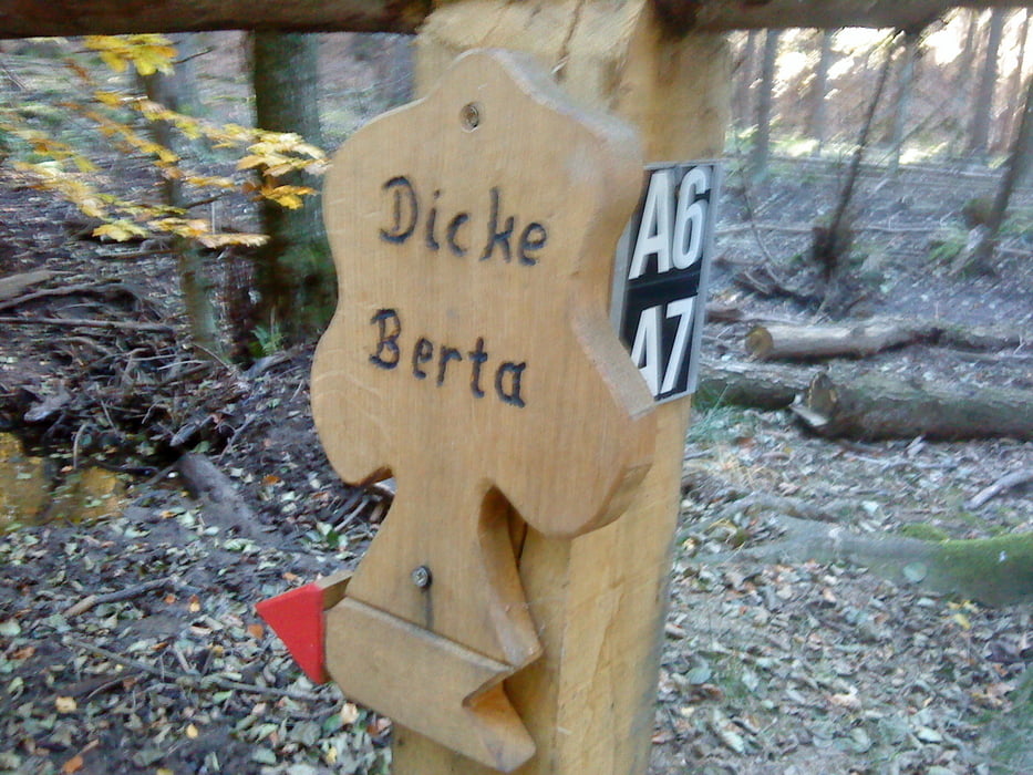 Kleine Lüerwald-Tour, vorbei an der ca. 675 Jahre alten Eiche "Dicke Berta"